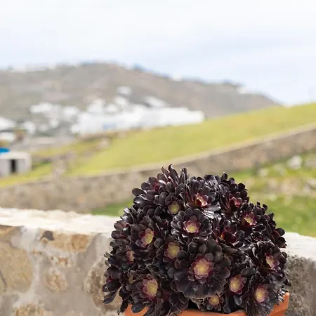 Lejlighed Ikade Mykonos *