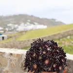 아파트 Ikade Mykonos *
