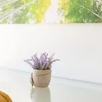 Ikade Mykonos 아파트
