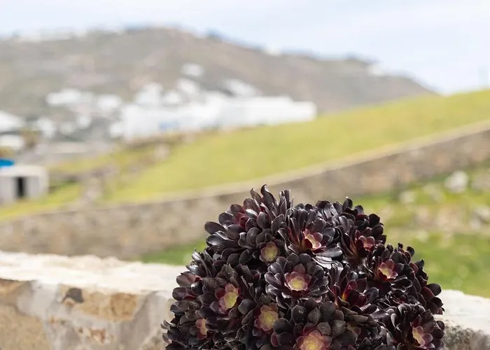 Διαμέρισμα Ikade Mykonos *