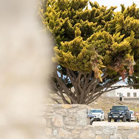 Ikade Mykonos Mykonos Town