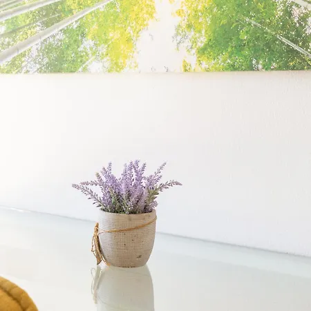 Ikade Mykonos Appartement