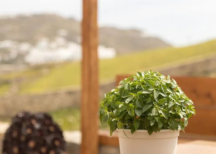 Ikade Mykonos Mykonos Town