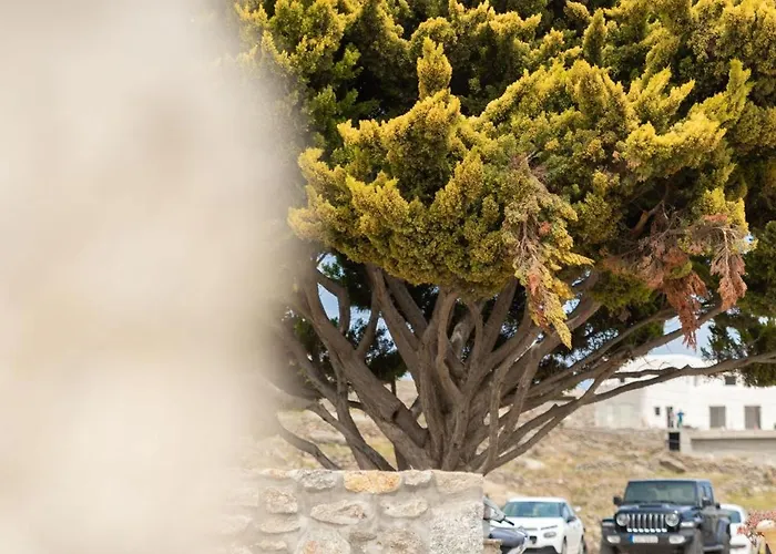 Ikade Mykonos Mykonos Town